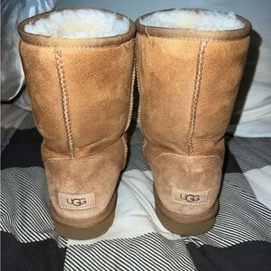 Uggs classic short II